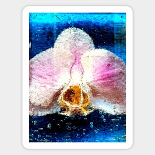 Orchid in Water Sticker